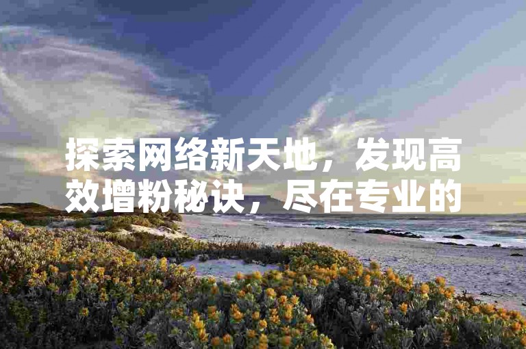 探索网络新天地，发现高效增粉秘诀，尽在专业的在线服务平台。