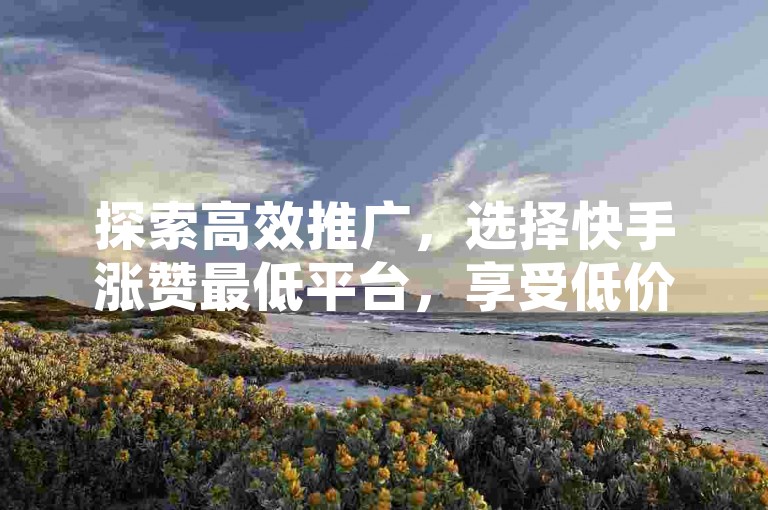 探索高效推广，选择快手涨赞最低平台，享受低价抖音业务带来的流量红利。