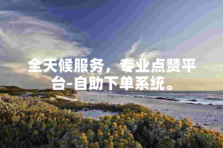 全天候服务，专业点赞平台-自助下单系统。