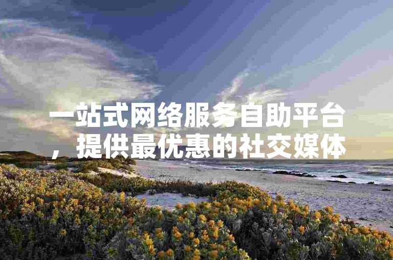 一站式网络服务自助平台，提供最优惠的社交媒体推广解决方案 - 探索数字营销的无限可能。