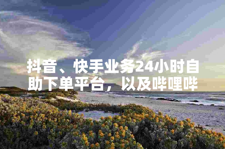 抖音、快手业务24小时自助下单平台，以及哔哩哔哩的业务自助服务。