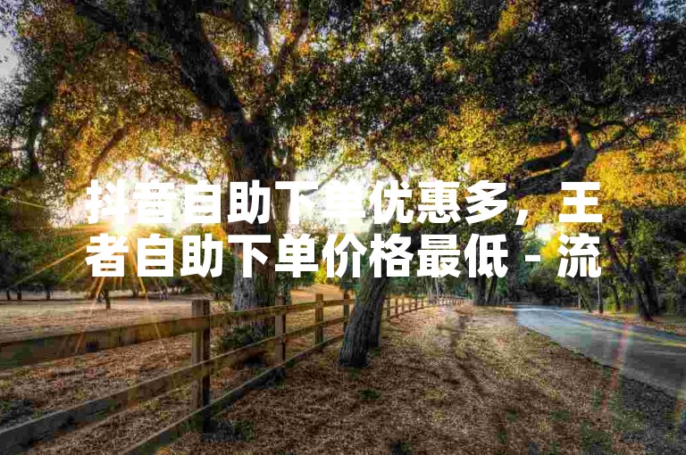 抖音自助下单优惠多，王者自助下单价格最低 - 流量推广必备软件 - 免费领取腾讯会员VIP。
