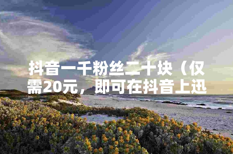 抖音一千粉丝二十块（仅需20元，即可在抖音上迅速积累1000名粉丝，助你快速晋升为网络红人）
