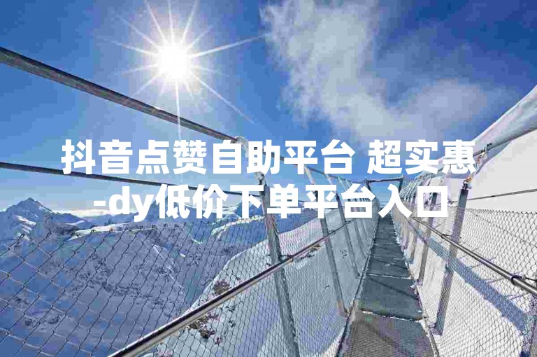 抖音点赞自助平台 超实惠-dy低价下单平台入口