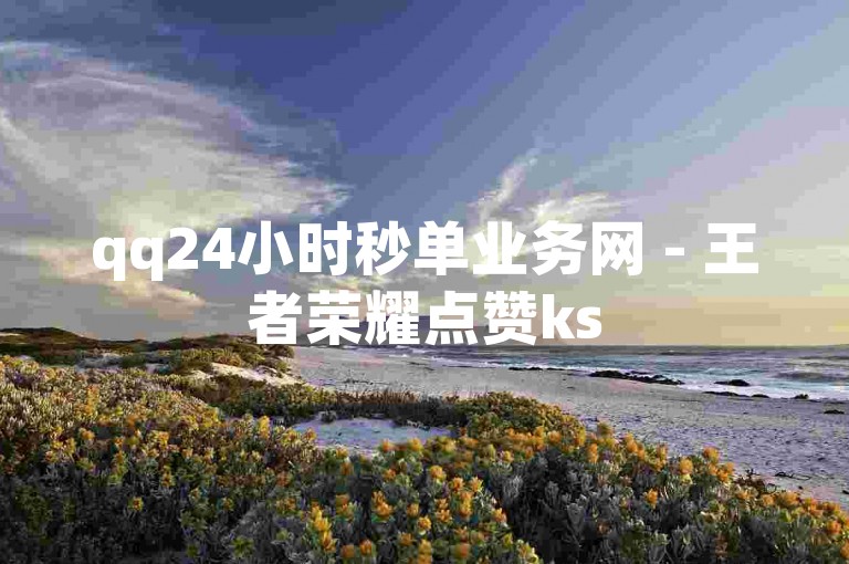 qq24小时秒单业务网 - 王者荣耀点赞ks
