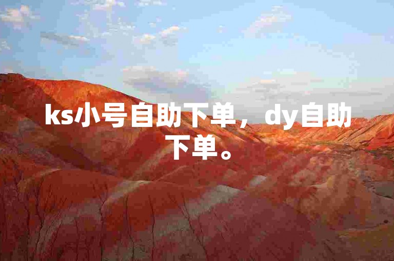 ks小号自助下单，dy自助下单。