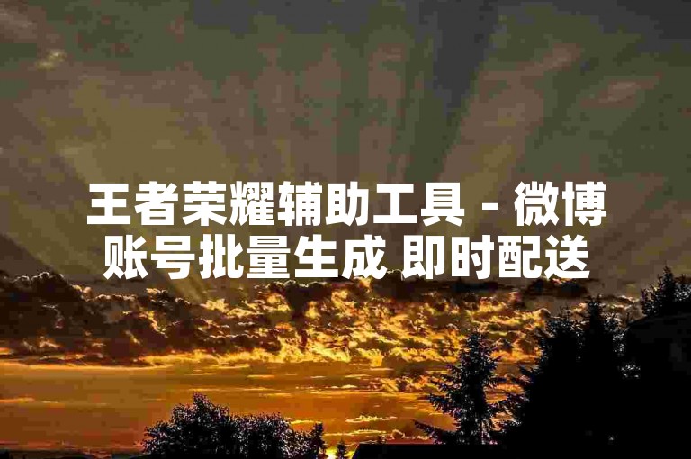 王者荣耀辅助工具 - 微博账号批量生成 即时配送