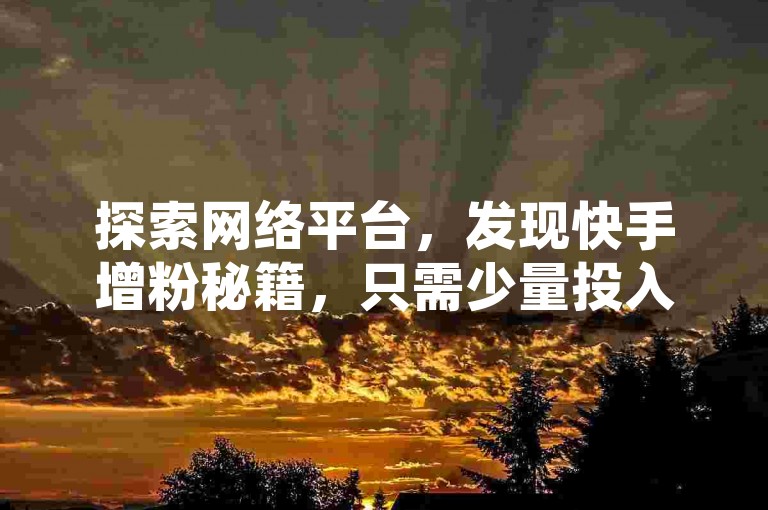探索网络平台，发现快手增粉秘籍，只需少量投入即可获得大量关注。