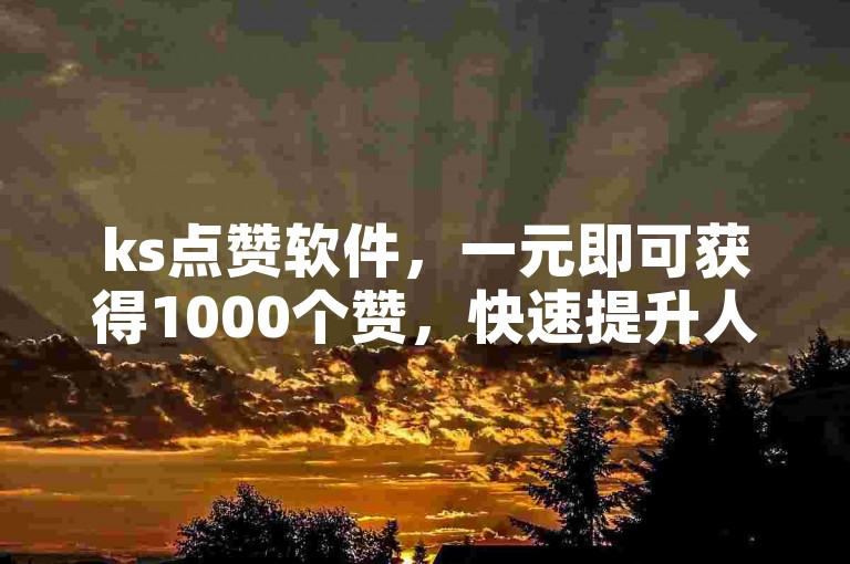 ks点赞软件，一元即可获得1000个赞，快速提升人气。