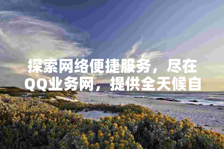 探索网络便捷服务，尽在QQ业务网，提供全天候自助下单，专享KS业务与超值QQ超级会员优惠。