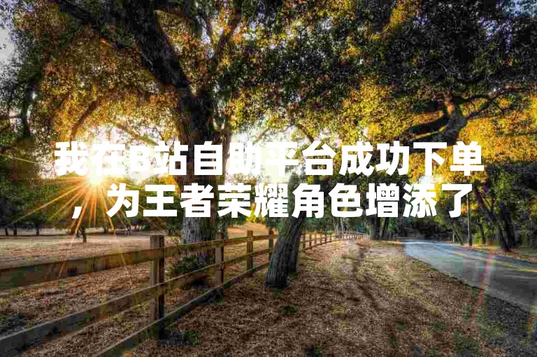 我在B站自助平台成功下单，为王者荣耀角色增添了可观的人气值。