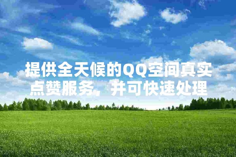 提供全天候的QQ空间真实点赞服务，并可快速处理抖音业务订单以实现24小时内粉丝增长。