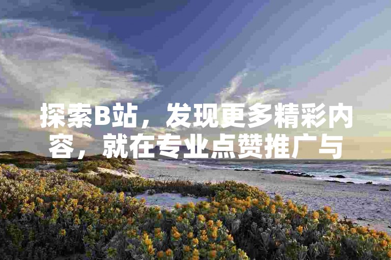 探索B站，发现更多精彩内容，就在专业点赞推广与业务下单平台。