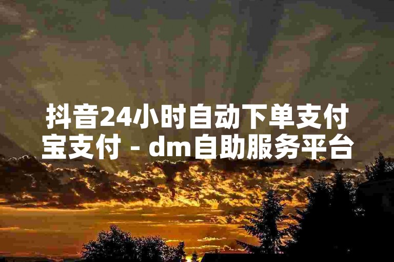 抖音24小时自动下单支付宝支付 - dm自助服务平台订单处理软件