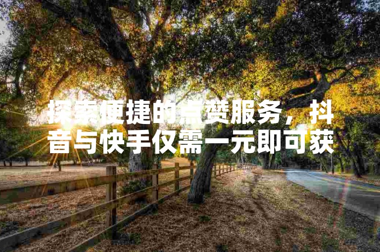 探索便捷的点赞服务，抖音与快手仅需一元即可获得100个赞，全天候自助平台为您服务。