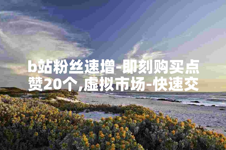 b站粉丝速增-即刻购买点赞20个,虚拟市场-快速交易