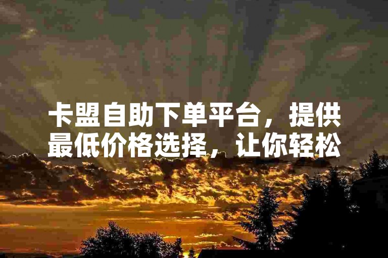 卡盟自助下单平台，提供最低价格选择，让你轻松享受优惠服务。