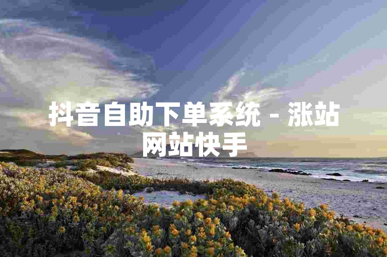 抖音自助下单系统 - 涨站网站快手
