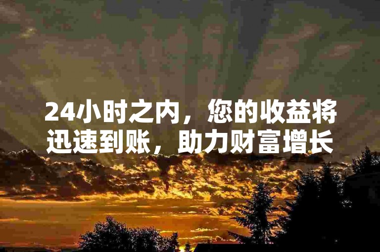 24小时之内，您的收益将迅速到账，助力财富增长。