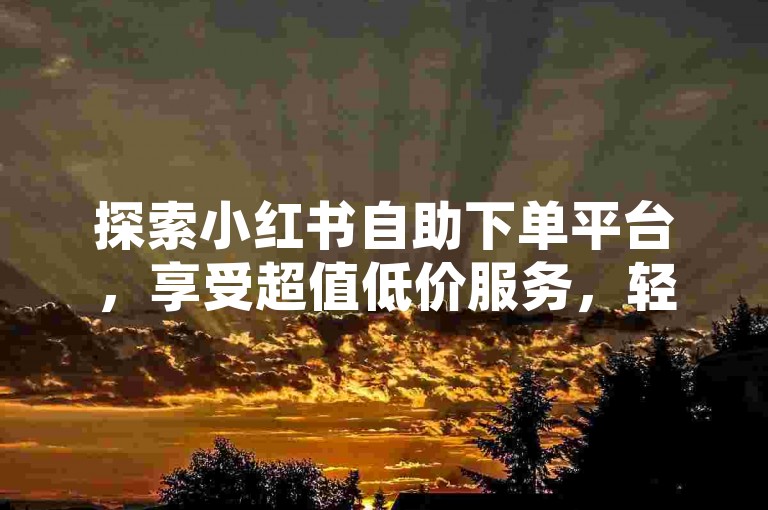 探索小红书自助下单平台，享受超值低价服务，轻松获得点赞支持。