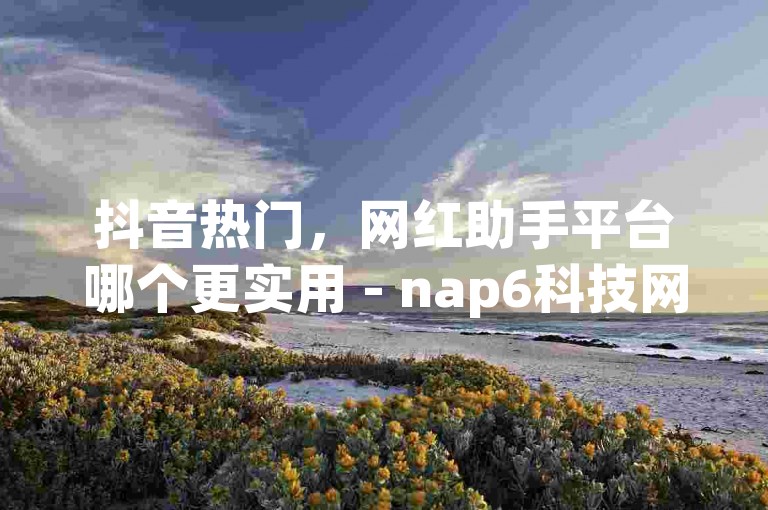抖音热门，网红助手平台哪个更实用 - nap6科技网推荐 - 抖音全天候在线购物平台