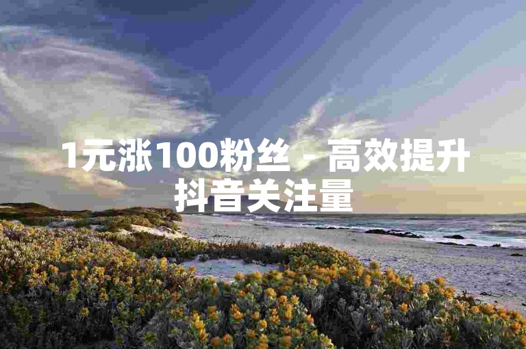 1元涨100粉丝 - 高效提升抖音关注量