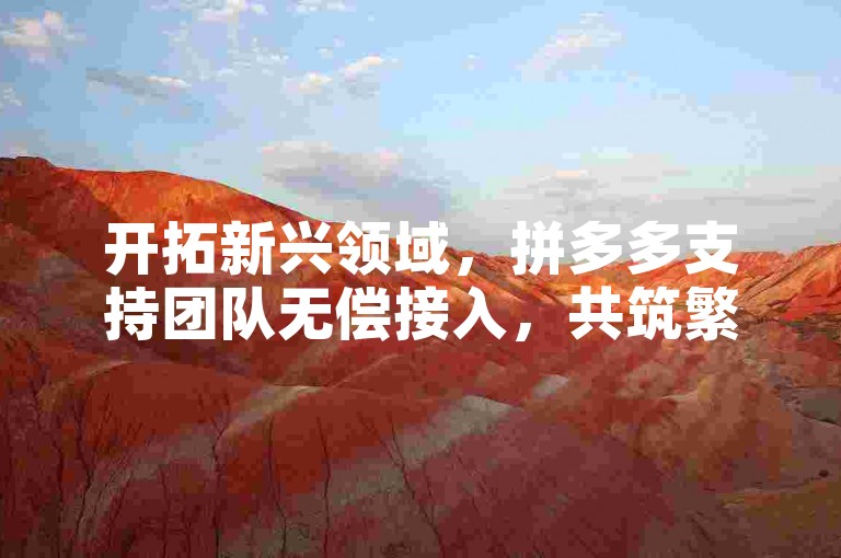 开拓新兴领域，拼多多支持团队无偿接入，共筑繁荣未来商业模式。