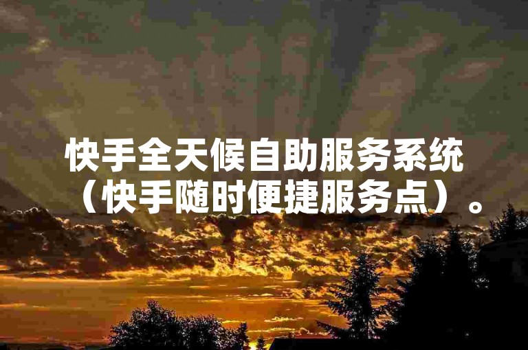 快手全天候自助服务系统（快手随时便捷服务点）。