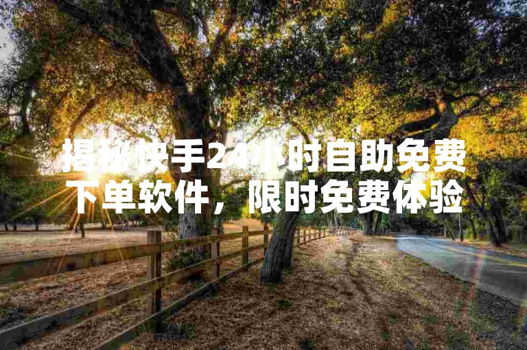 揭秘快手24小时自助免费下单软件，限时免费体验，2025年必备技能！