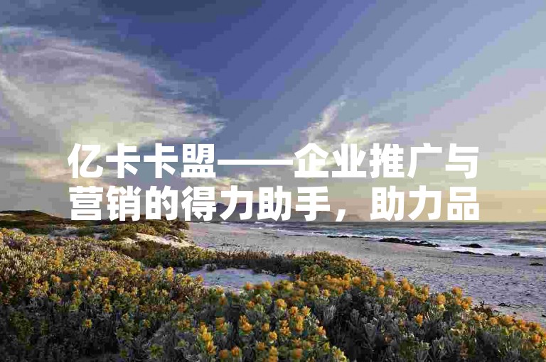 亿卡卡盟——企业推广与营销的得力助手，助力品牌迅速达成市场目标。