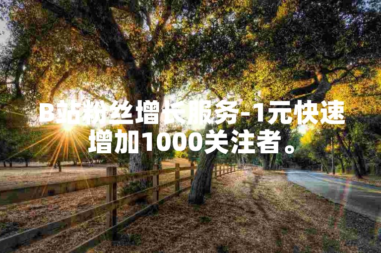 B站粉丝增长服务-1元快速增加1000关注者。