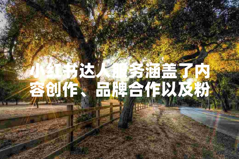 小红书达人服务涵盖了内容创作、品牌合作以及粉丝互动等多方面的专业支持。