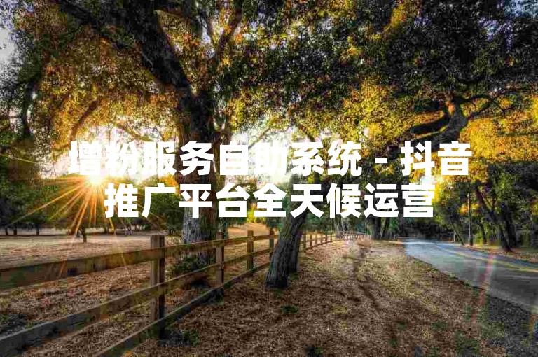 增粉服务自助系统 - 抖音推广平台全天候运营