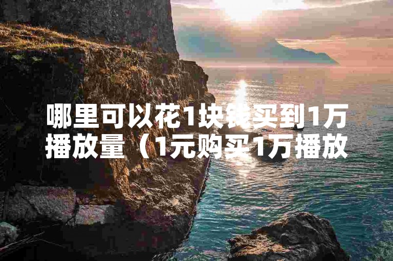 哪里可以花1块钱买到1万播放量（1元购买1万播放量的途径）？