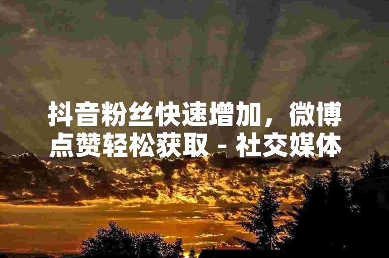抖音粉丝快速增加，微博点赞轻松获取 - 社交媒体助力平台 - 特价提升网络人气