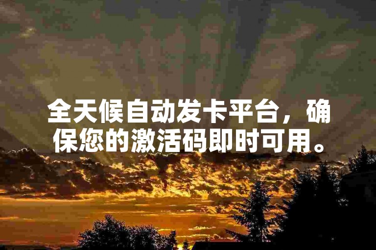 全天候自动发卡平台，确保您的激活码即时可用。