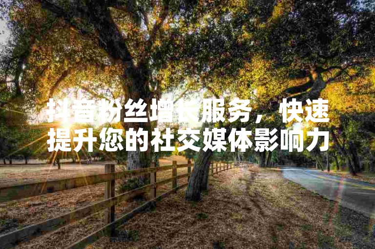 抖音粉丝增长服务，快速提升您的社交媒体影响力。