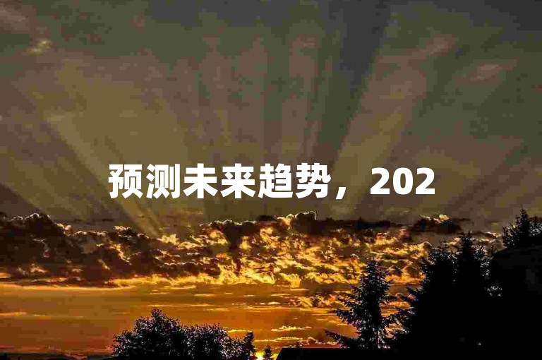 预测未来趋势，2025年拼多多店铺的发展前景与风险。