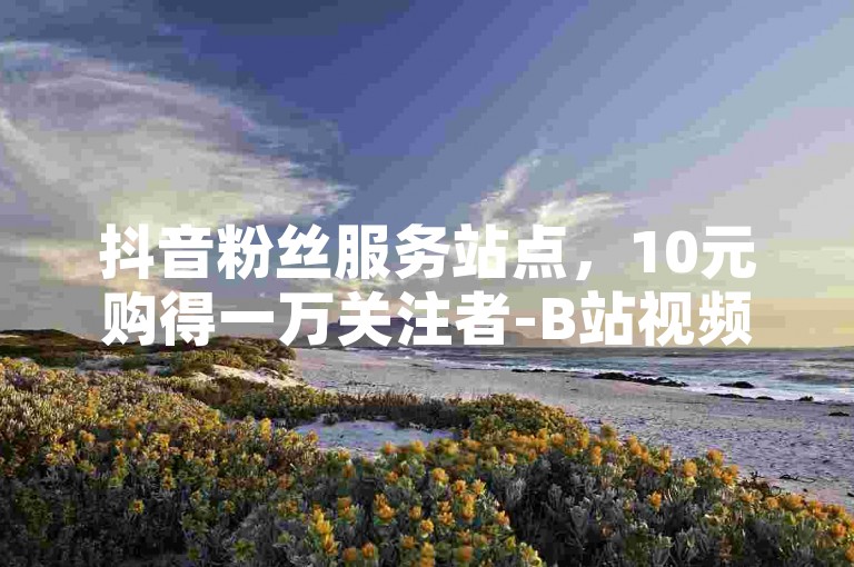 抖音粉丝服务站点，10元购得一万关注者-B站视频点赞轻松下单，dou+推广自助平台优惠多。