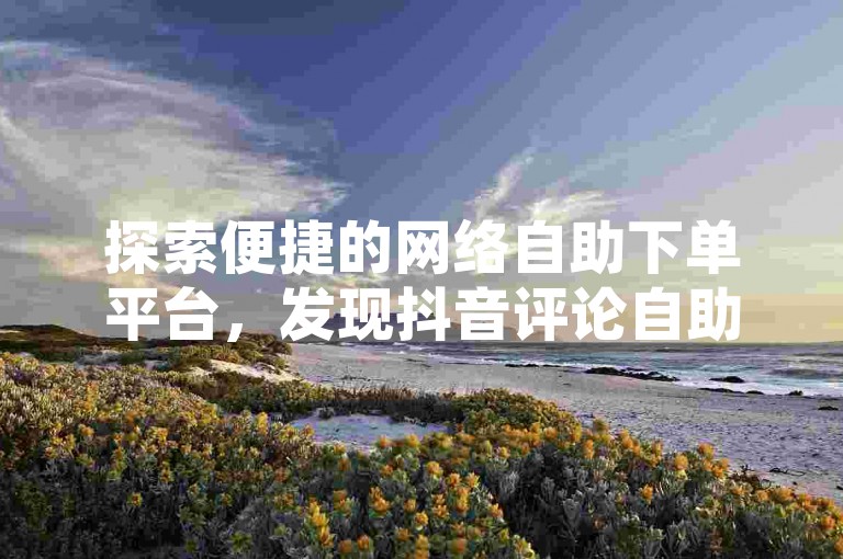 探索便捷的网络自助下单平台，发现抖音评论自助下单网站的多样选择。