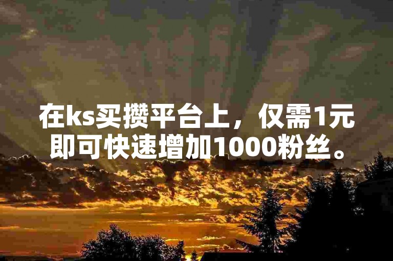 在ks买攒平台上，仅需1元即可快速增加1000粉丝。