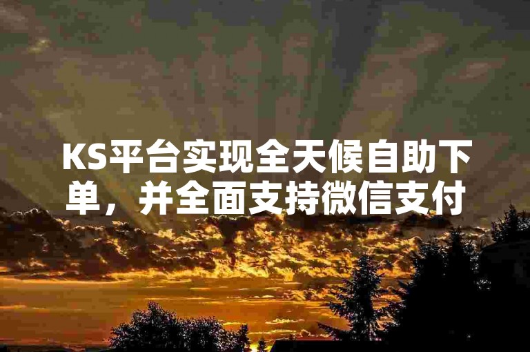 KS平台实现全天候自助下单，并全面支持微信支付方式。