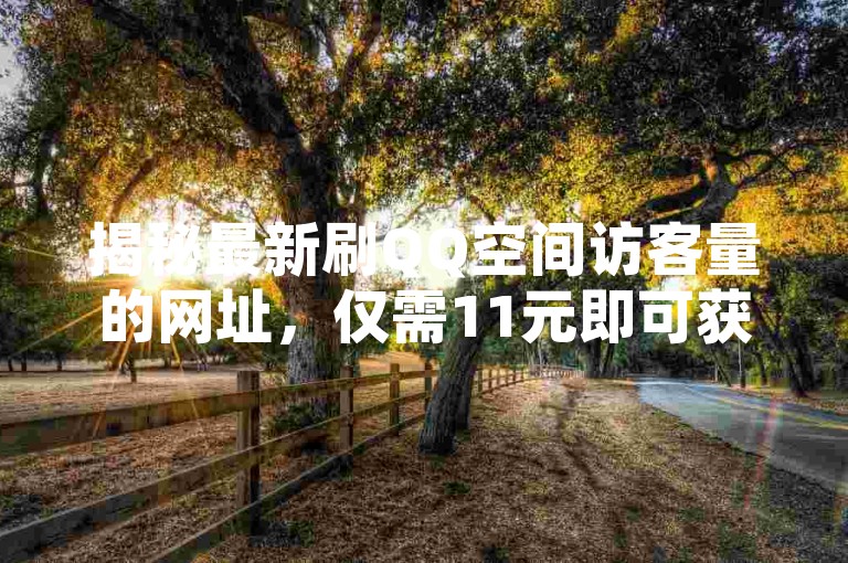揭秘最新刷QQ空间访客量的网址，仅需11元即可获得一万访客量！2024年必备技巧。