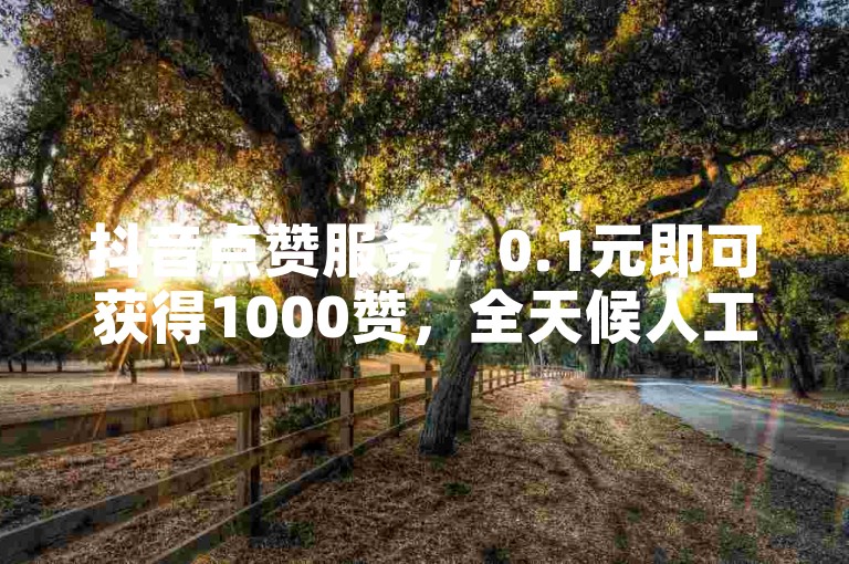 抖音点赞服务，0.1元即可获得1000赞，全天候人工团队在线助力。
