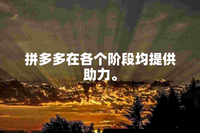 拼多多在各个阶段均提供助力。