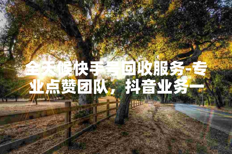 全天候快手号回收服务-专业点赞团队，抖音业务一站式自助平台。