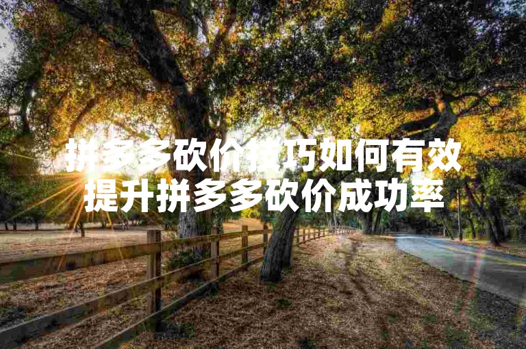 拼多多砍价技巧如何有效提升拼多多砍价成功率