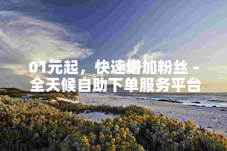01元起，快速增加粉丝 - 全天候自助下单服务平台。