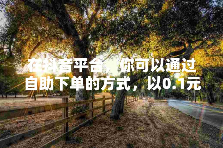 在抖音平台，你可以通过自助下单的方式，以0.1元购买100个赞，并享受卡盟提供的dy评论服务。