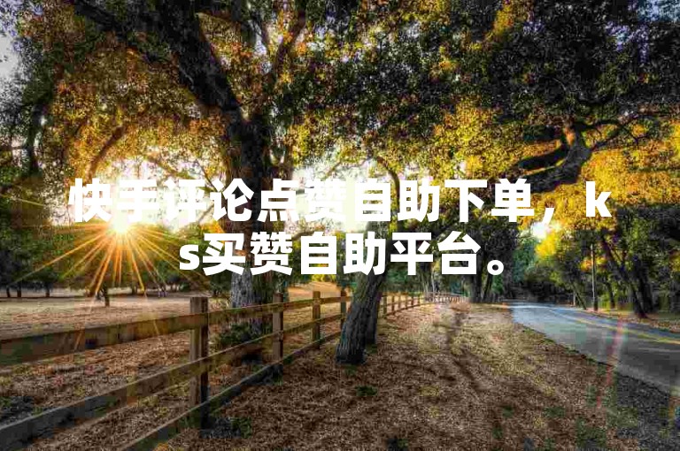 快手评论点赞自助下单，ks买赞自助平台。
